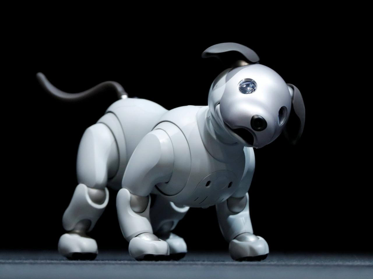 Aibo, Sony's newest robot dog, is now available to pre-order in Japan