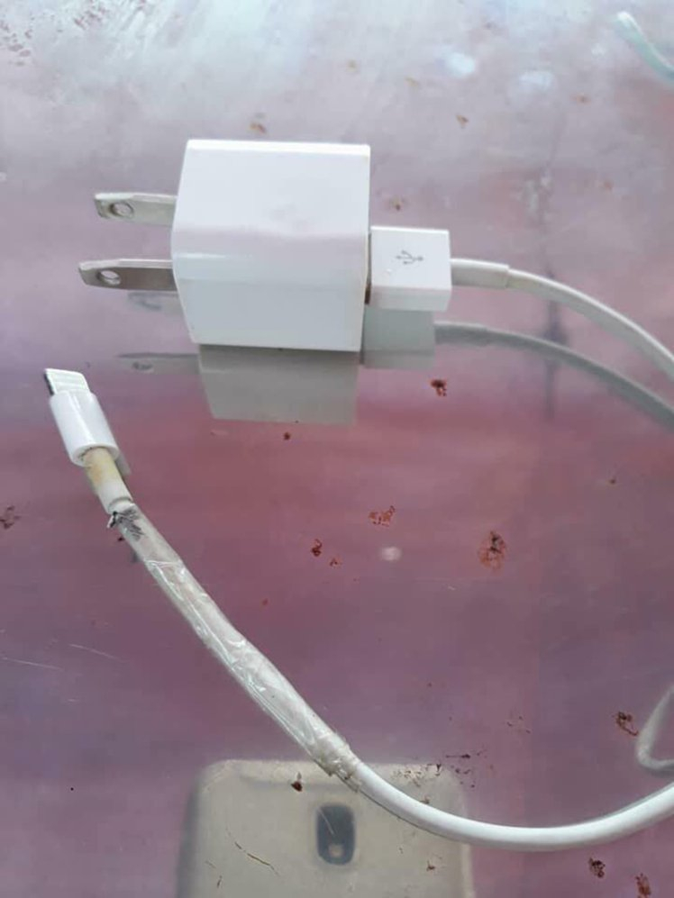 Teenager dies after being electrocuted by her iPhone charger while she slept