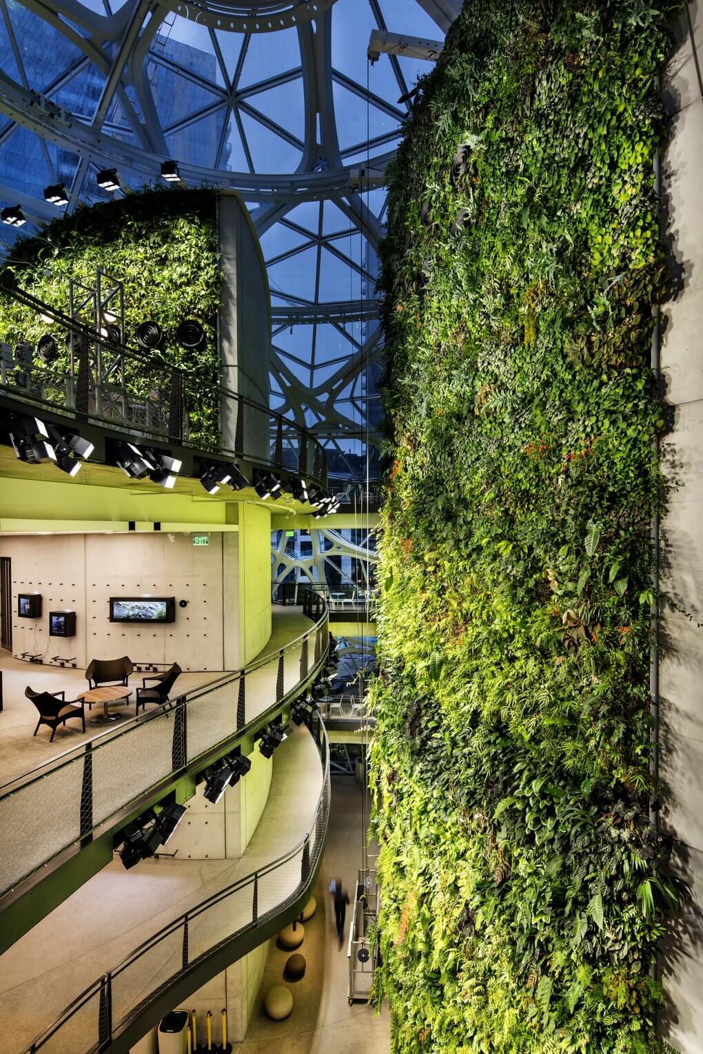 Amazon Opens Rainforest Dome Offices In Seattle