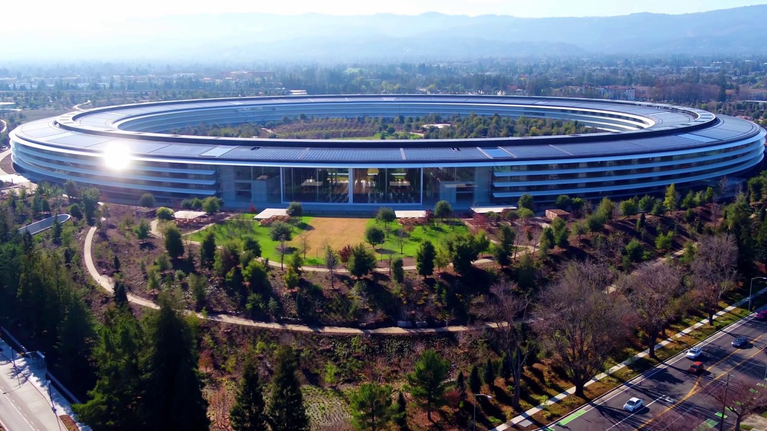 Apple Park employees keep smacking into the building's glass walls