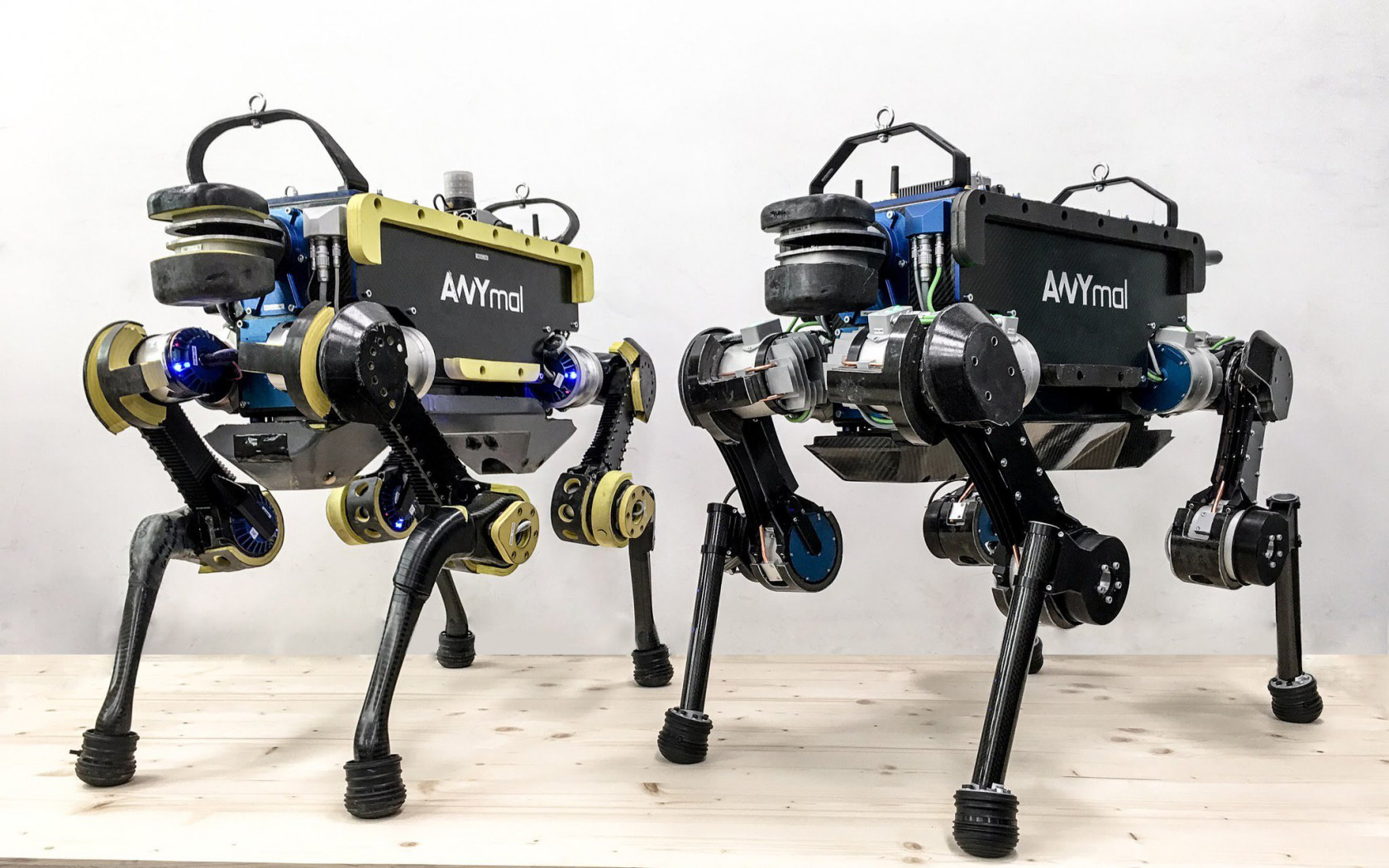 This robot dog can dance to any music using AI