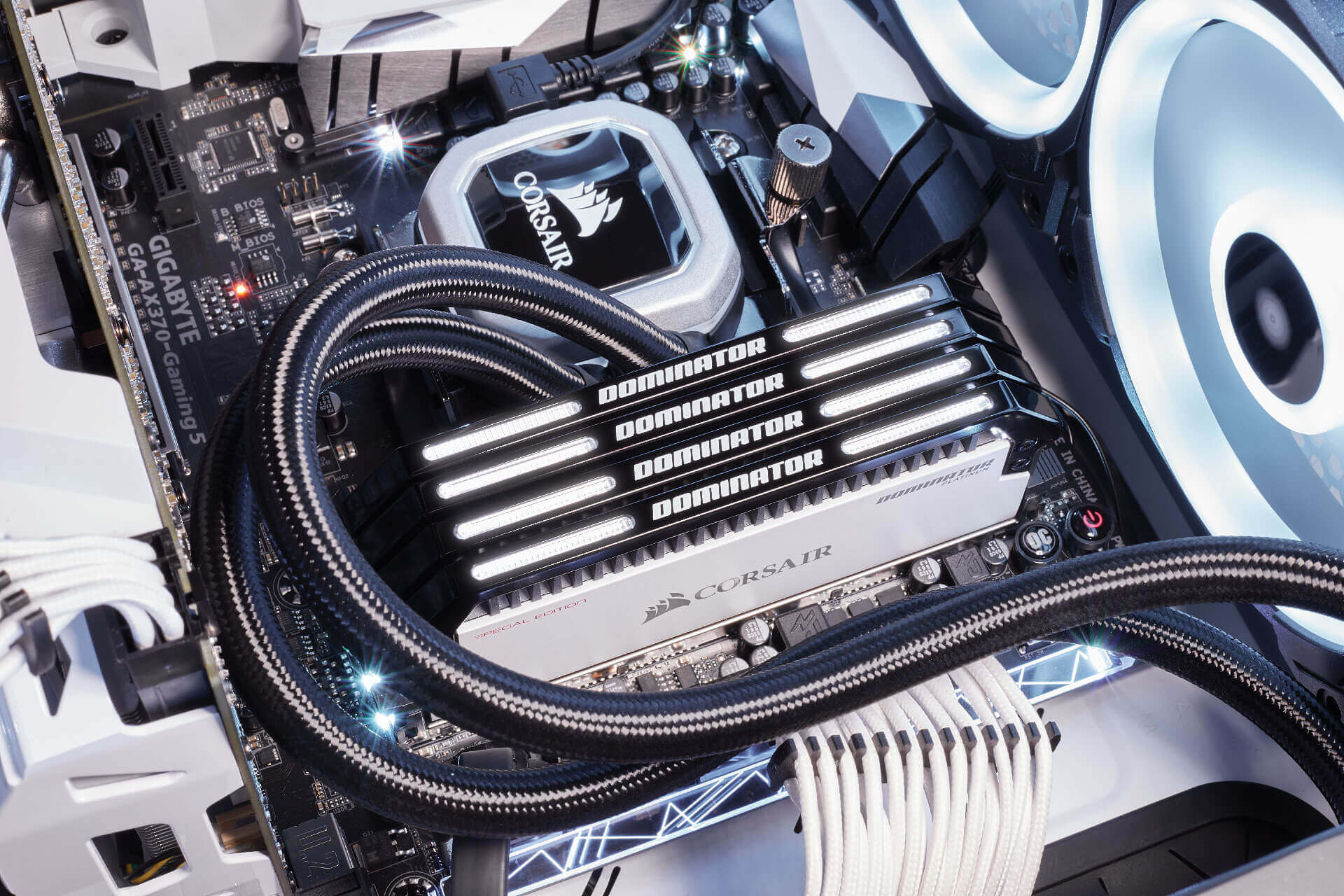 4 канальная память. Corsair Dominator Platinum ddr4. Corsair Dominator Platinum Special Edition. Corsair Dominator Platinum Special Edition contrast. Память Corsair Dominator.