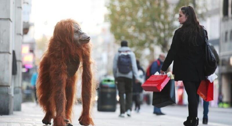 UK company puts animatronic orangutan on streets of London