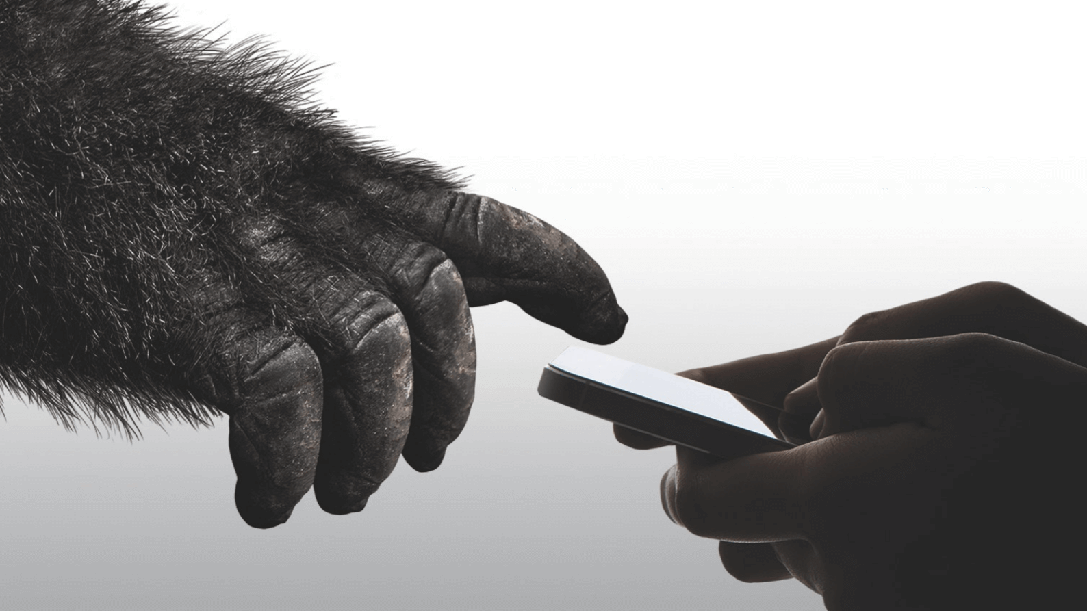 Gorilla Glass maker Corning beats Wall Street despite declining smartphone sales