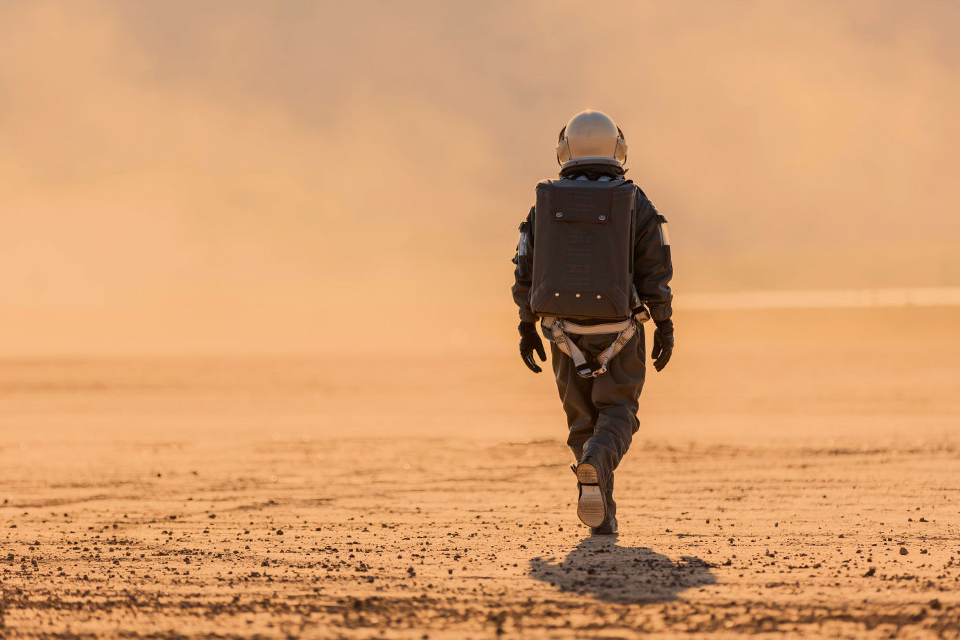 Mars One, the overly ambitious project to colonize the Red Planet, has gone bankrupt