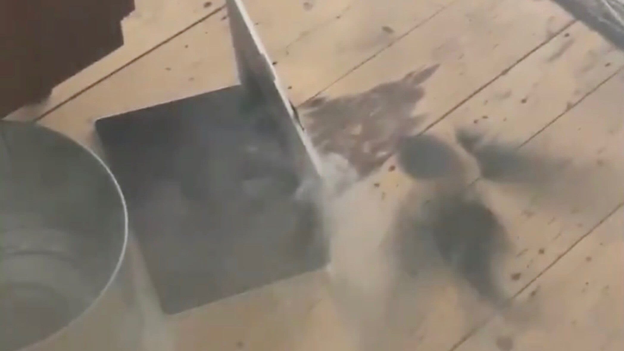 Watch a MacBook Pro pumping out smoke after it exploded during normal use