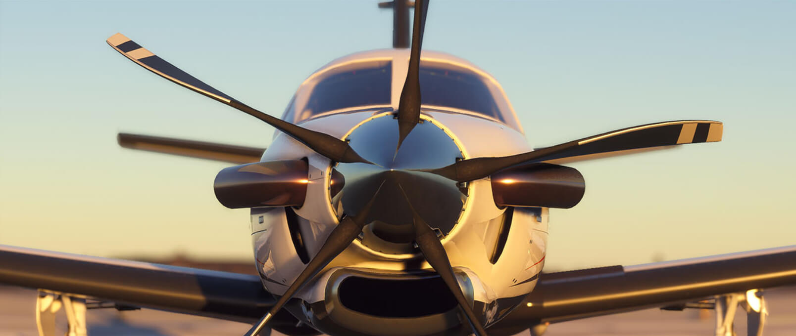 Take to the skies with Microsoft's next installment in the Flight Simulator series