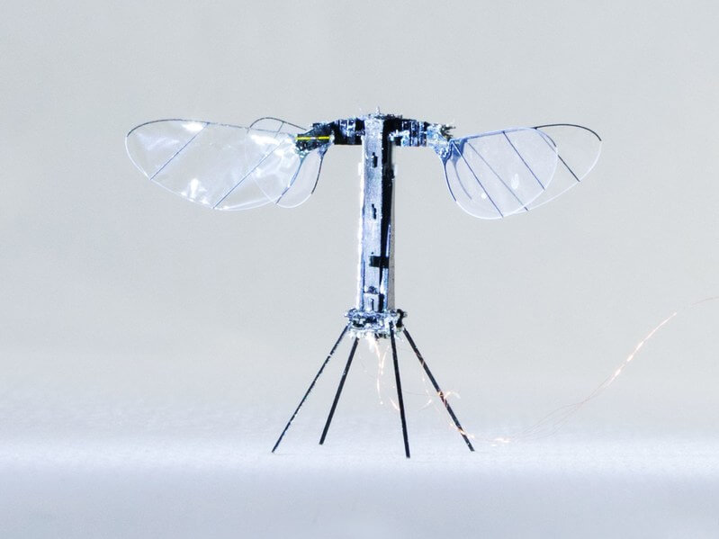 Harvard's Robobee can now fly untethered