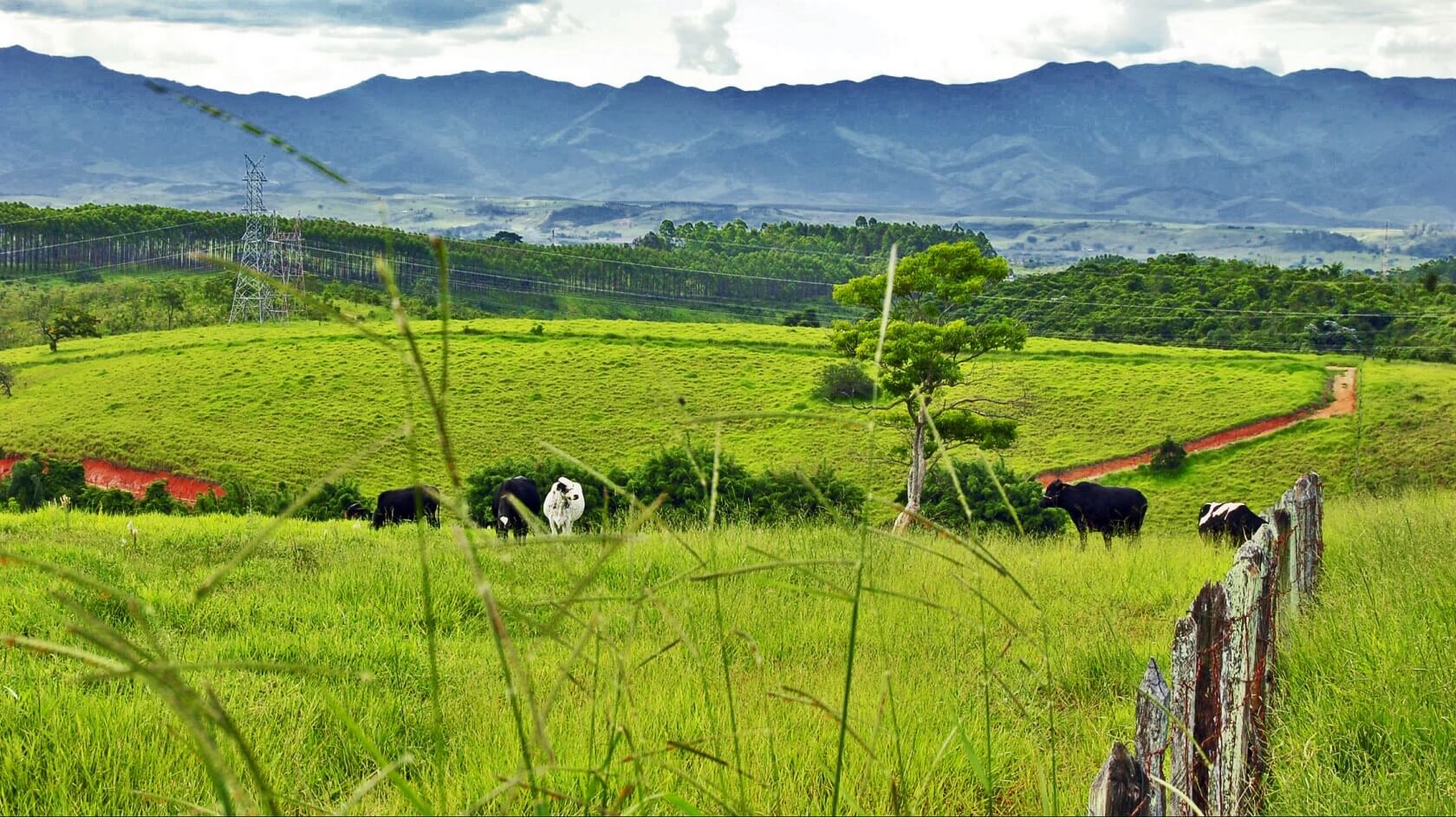 How Google used plus codes to create 14,000 new addresses in Brazil