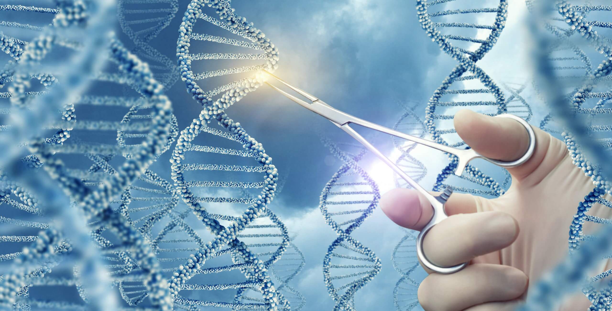 China hands down prison terms to scientists who genetically altered babies