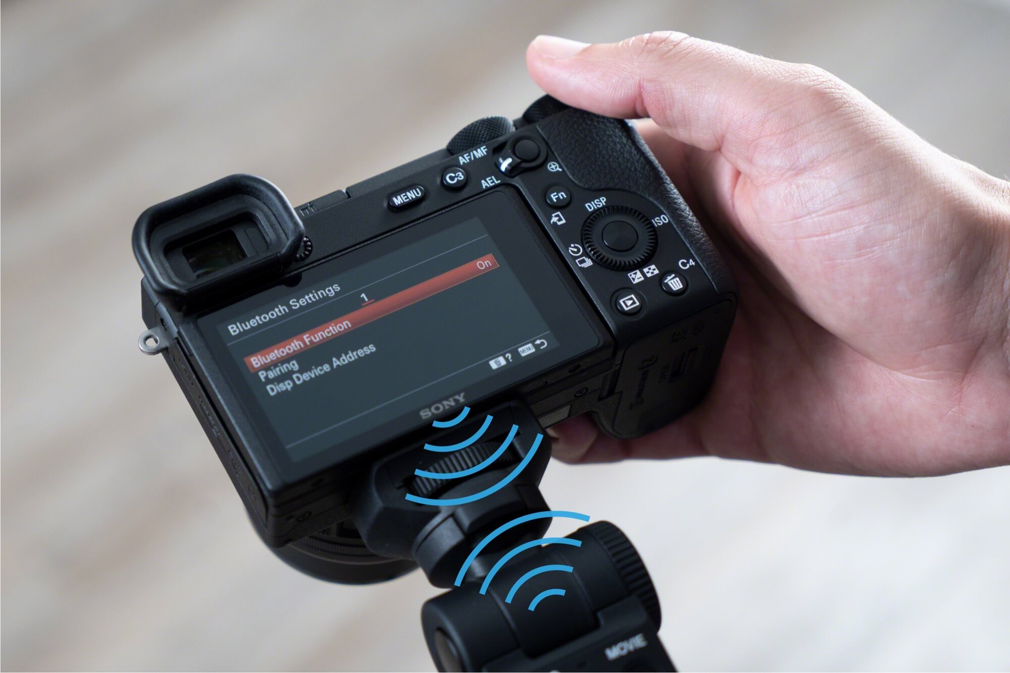 sony latest mirrorless camera 2020