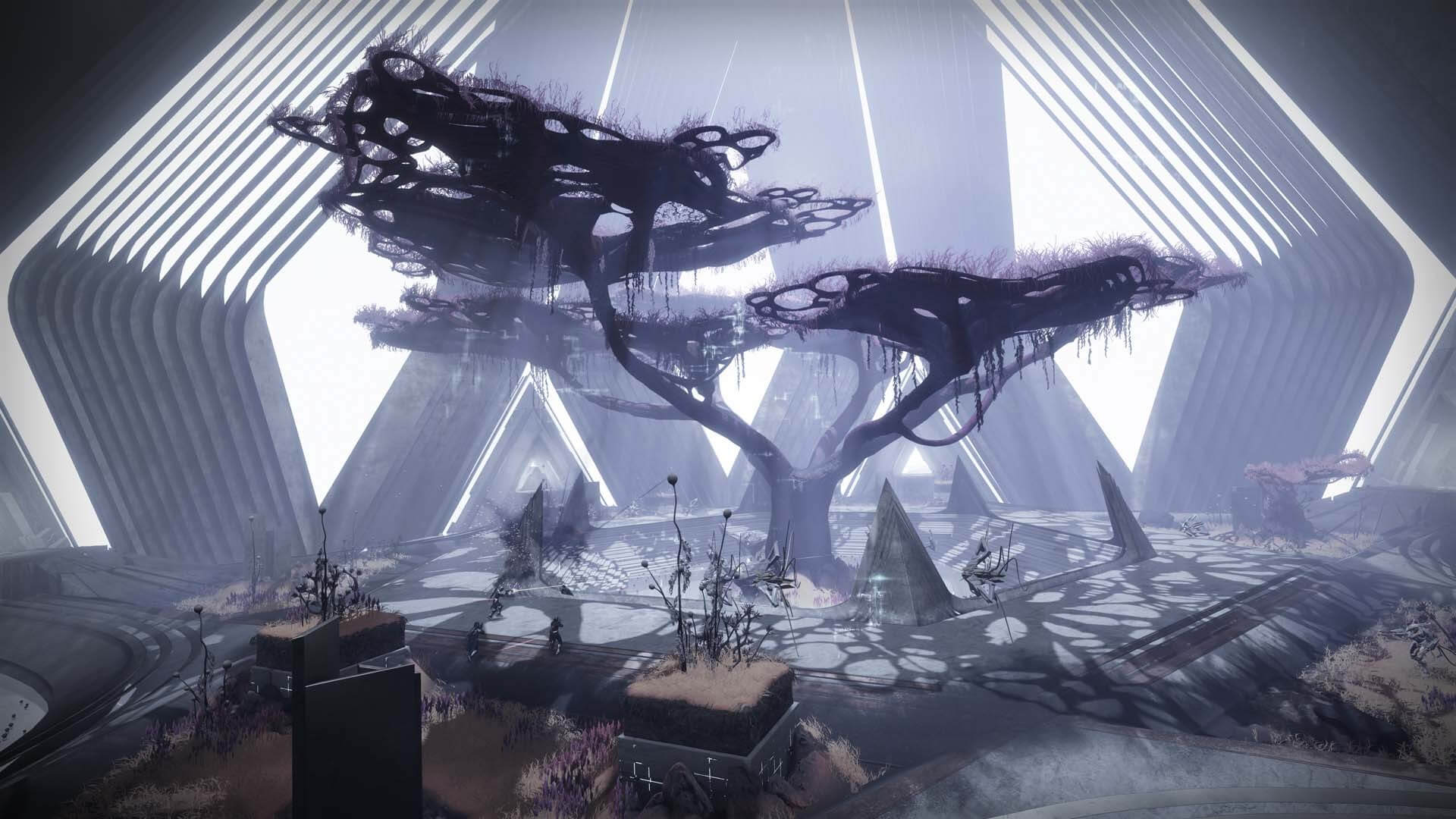 Bungie thanks community for working together to solve the Corridor of Time puzzle