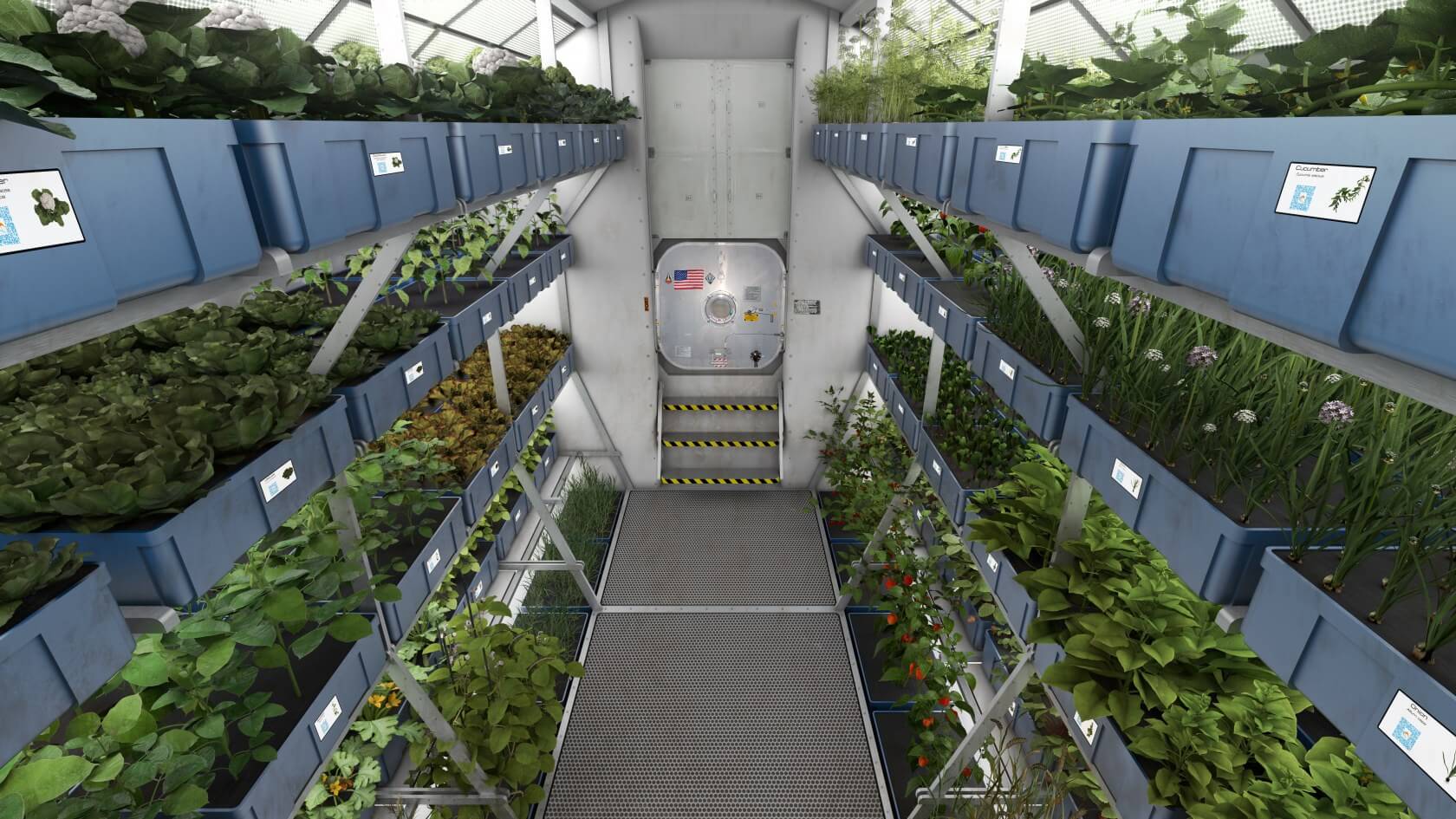 Study shows that lettuce grown on the ISS is just as healthy as its Earth-grown counterpart