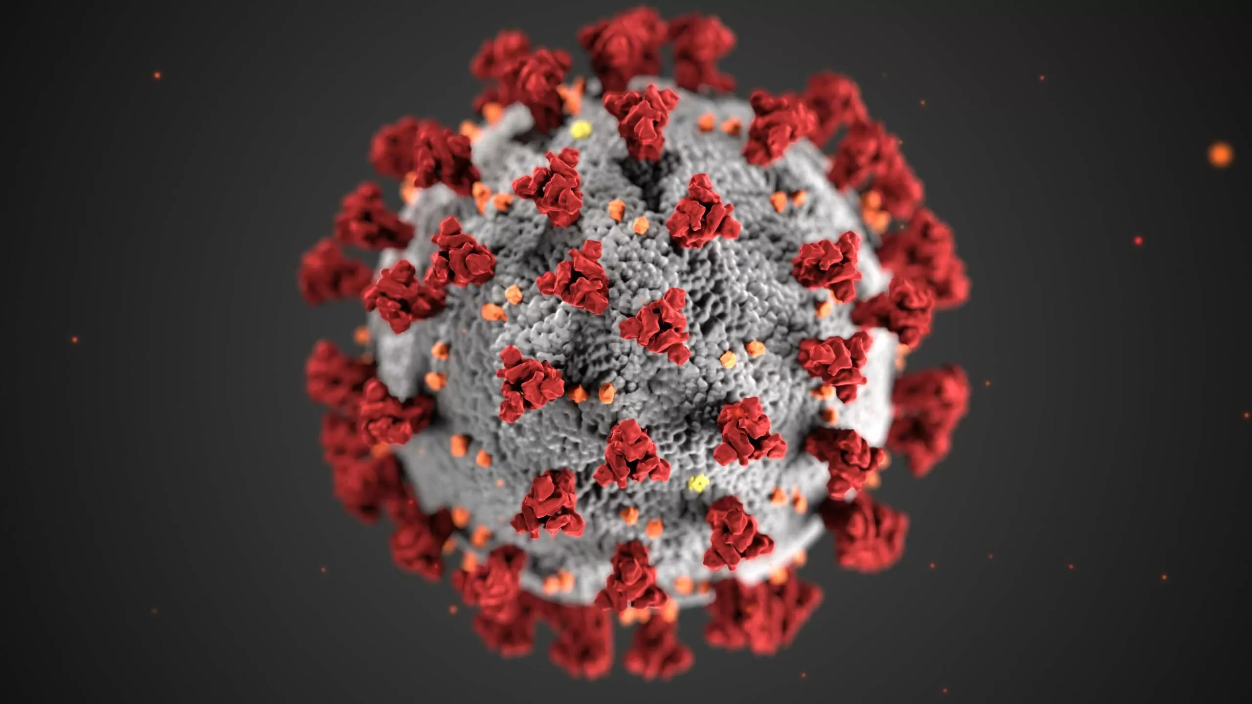 Chinese scientists working on Coronavirus treatment identify extremely effective antibodies