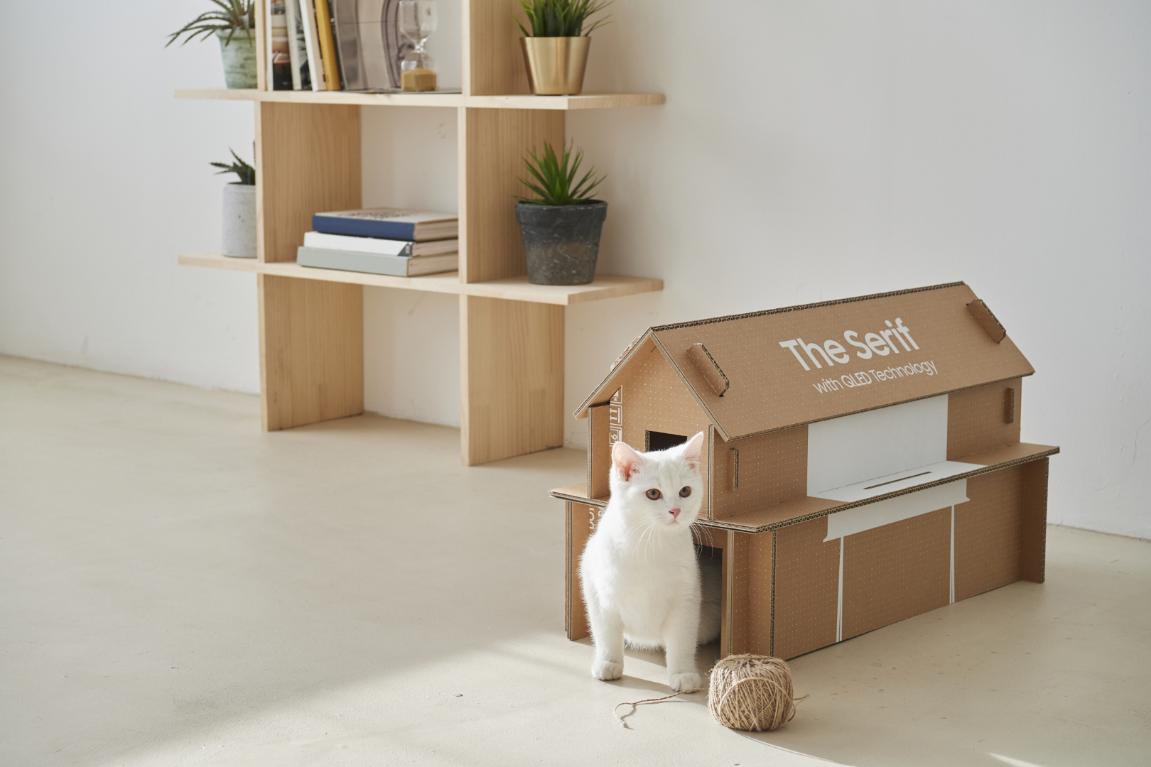 Samsung Lifestyle TVs to come in eco-friendly boxes that can be reused to make pet houses