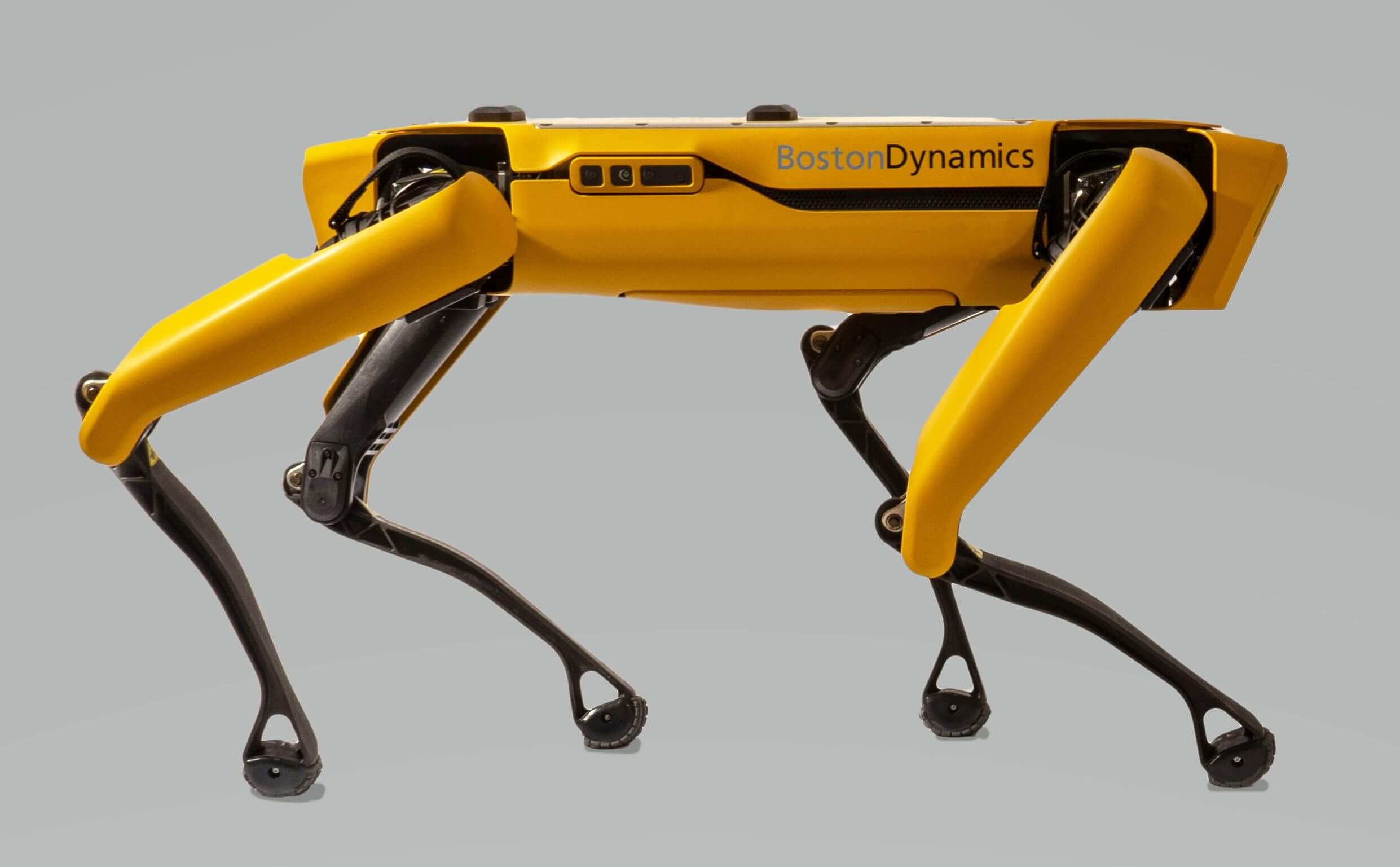 Boston Dynamics' Spot robot is now available to own