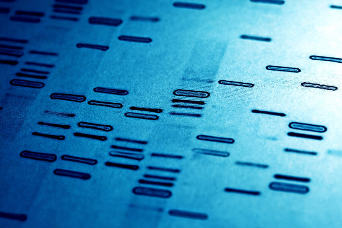 DNA analysis service GEDmatch suffers breach exposing 1.3 million DNA profiles