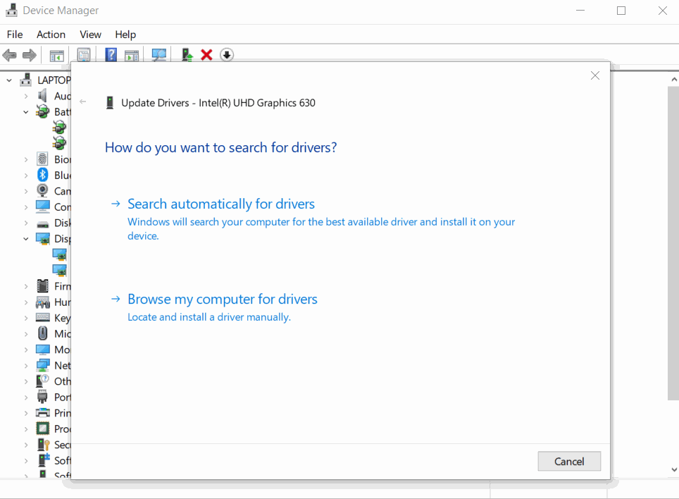 microsoft gif viewer options microsoft gif viewer options