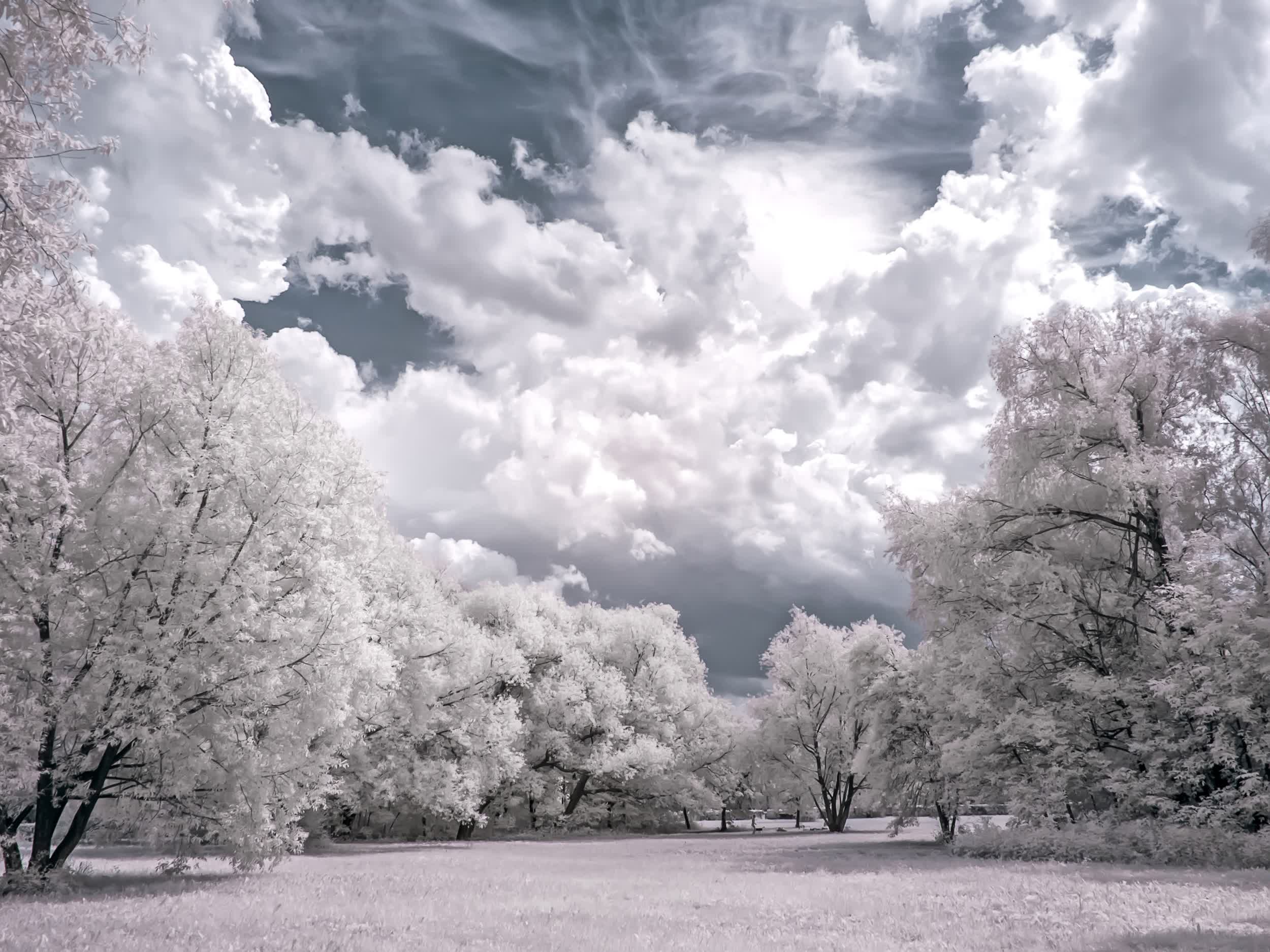 fuji gfx 100 ir