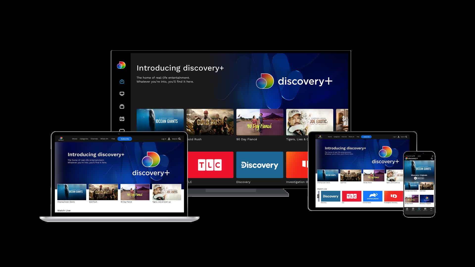 Discovery+ streaming service to launch in January, starts at $4.99 per month