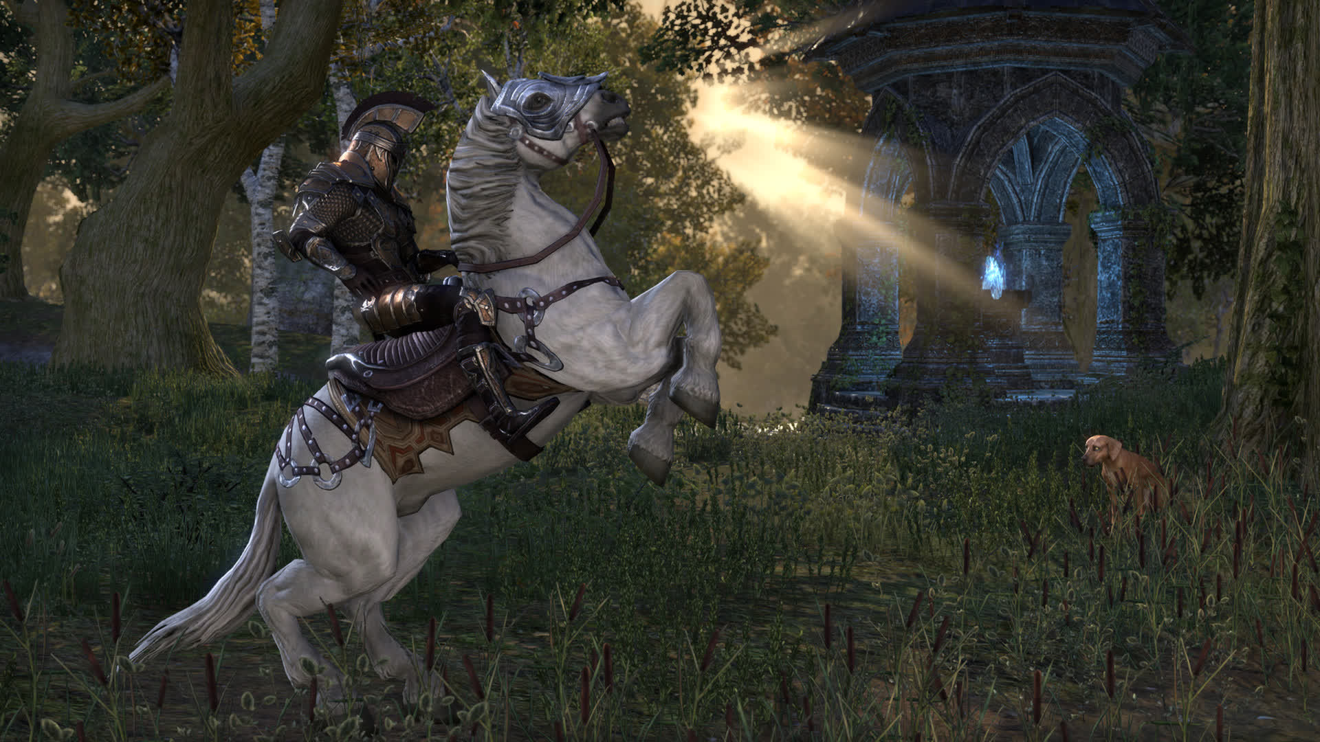 Play The Elder Scrolls Online For Free - The Elder Scrolls Online