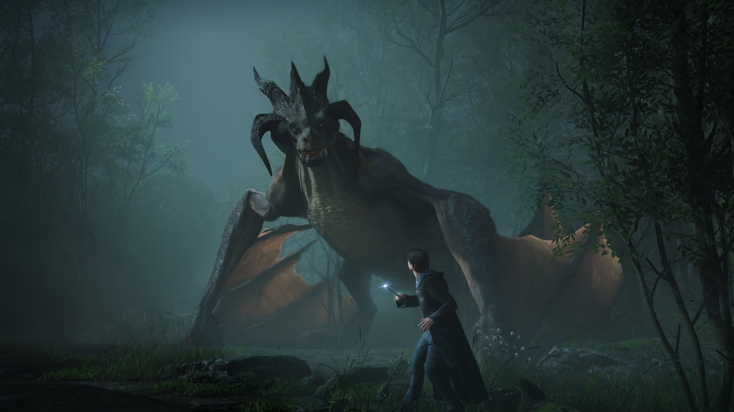 Hogwarts Legacy for last-gen consoles is surprisingly well optimized. : r/HarryPotterGame