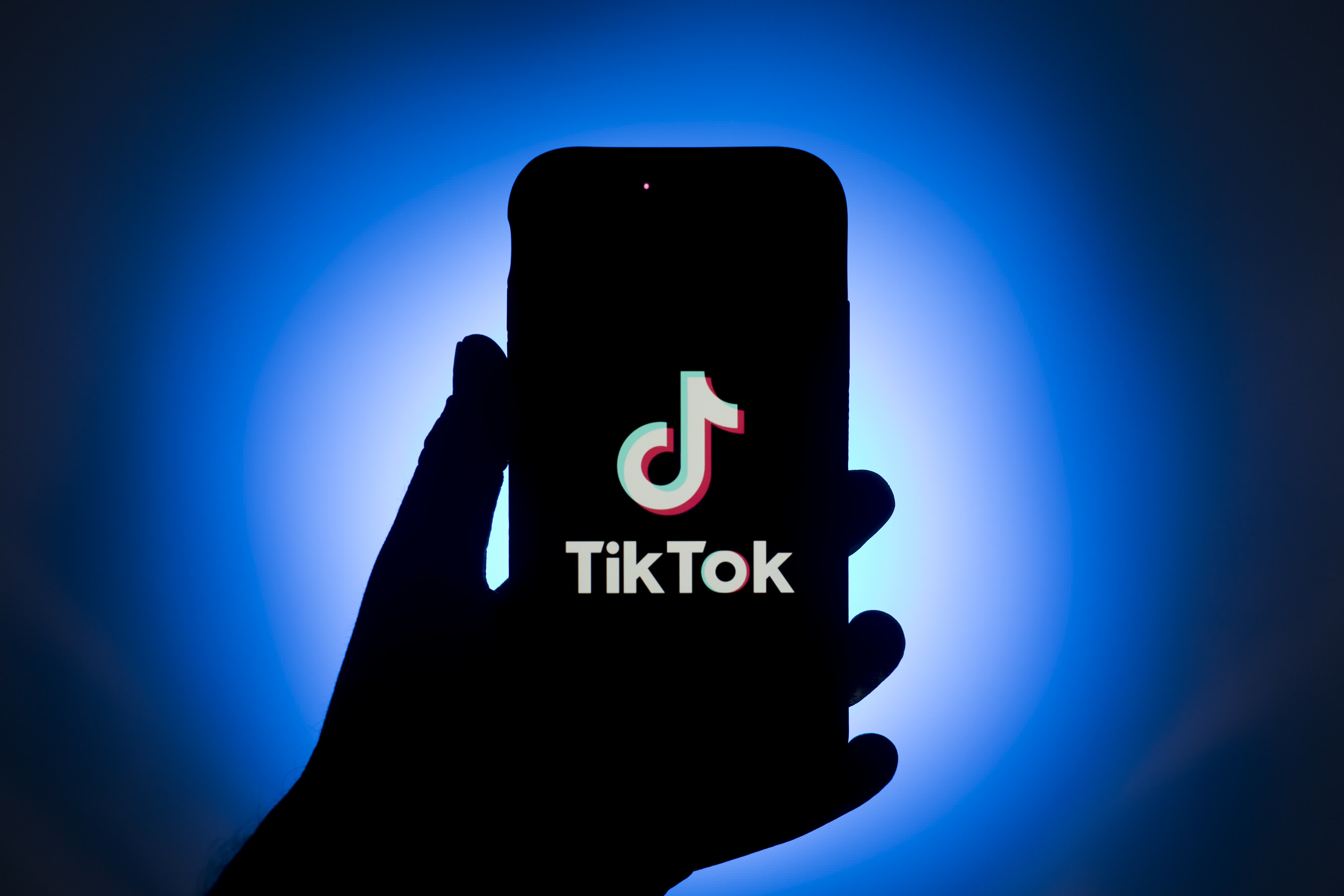 FCC commissioner: The US government should ban TikTok