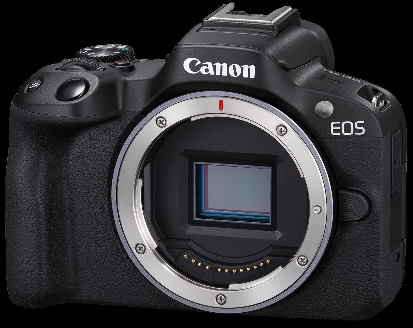 Canon introduces the EOS R50, its new entry-level mirrorless camera