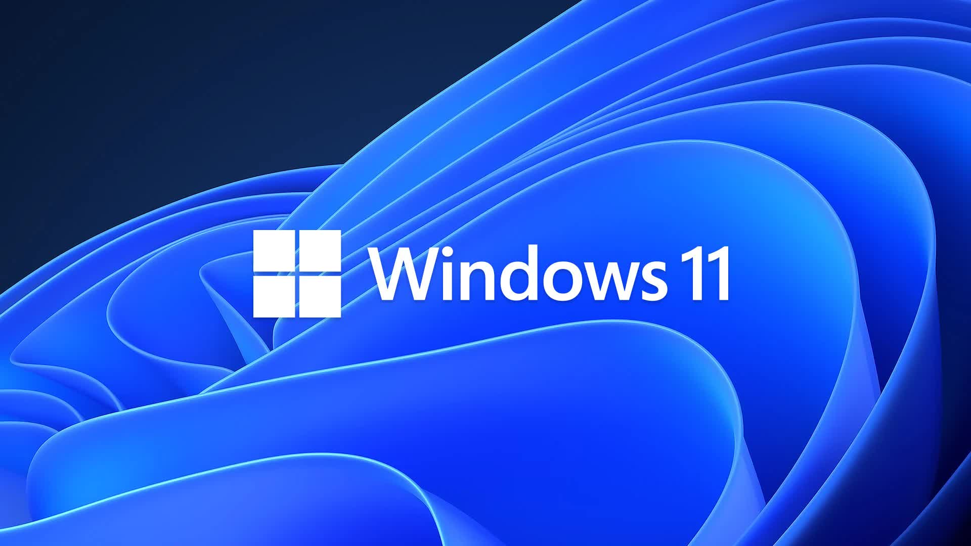 Windows 11 bug is making File Explorer open at random