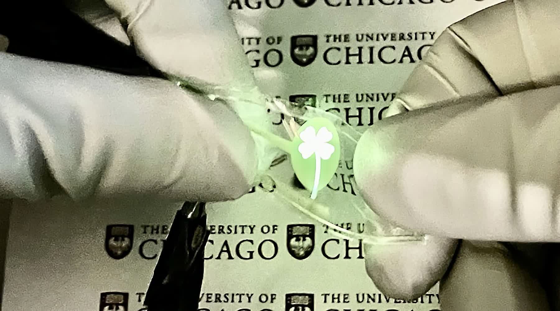 Researchers show off extremely flexible OLED display that stretches to twice its size