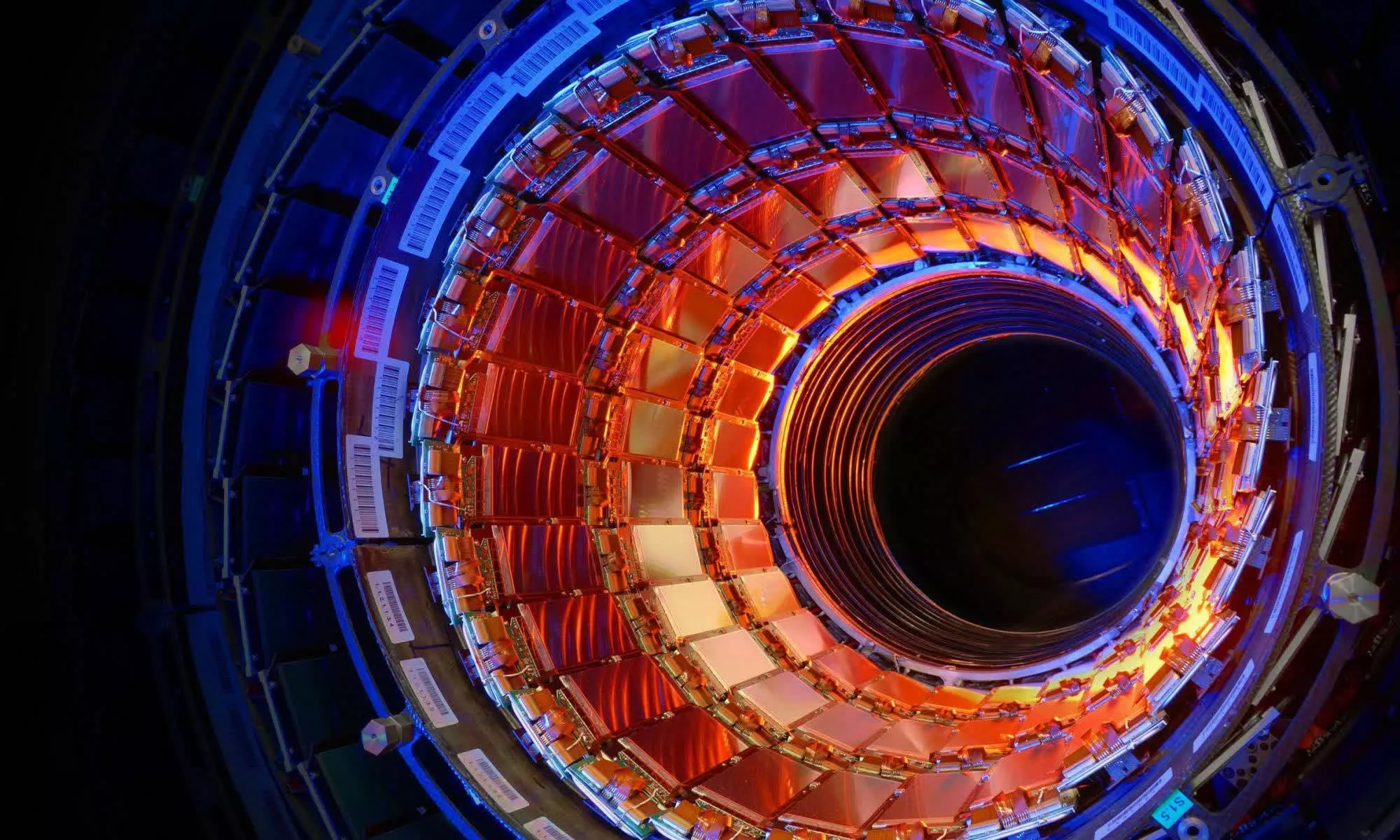 Large Hadron Collider's experiments detect the first evidence of Higgs boson decay