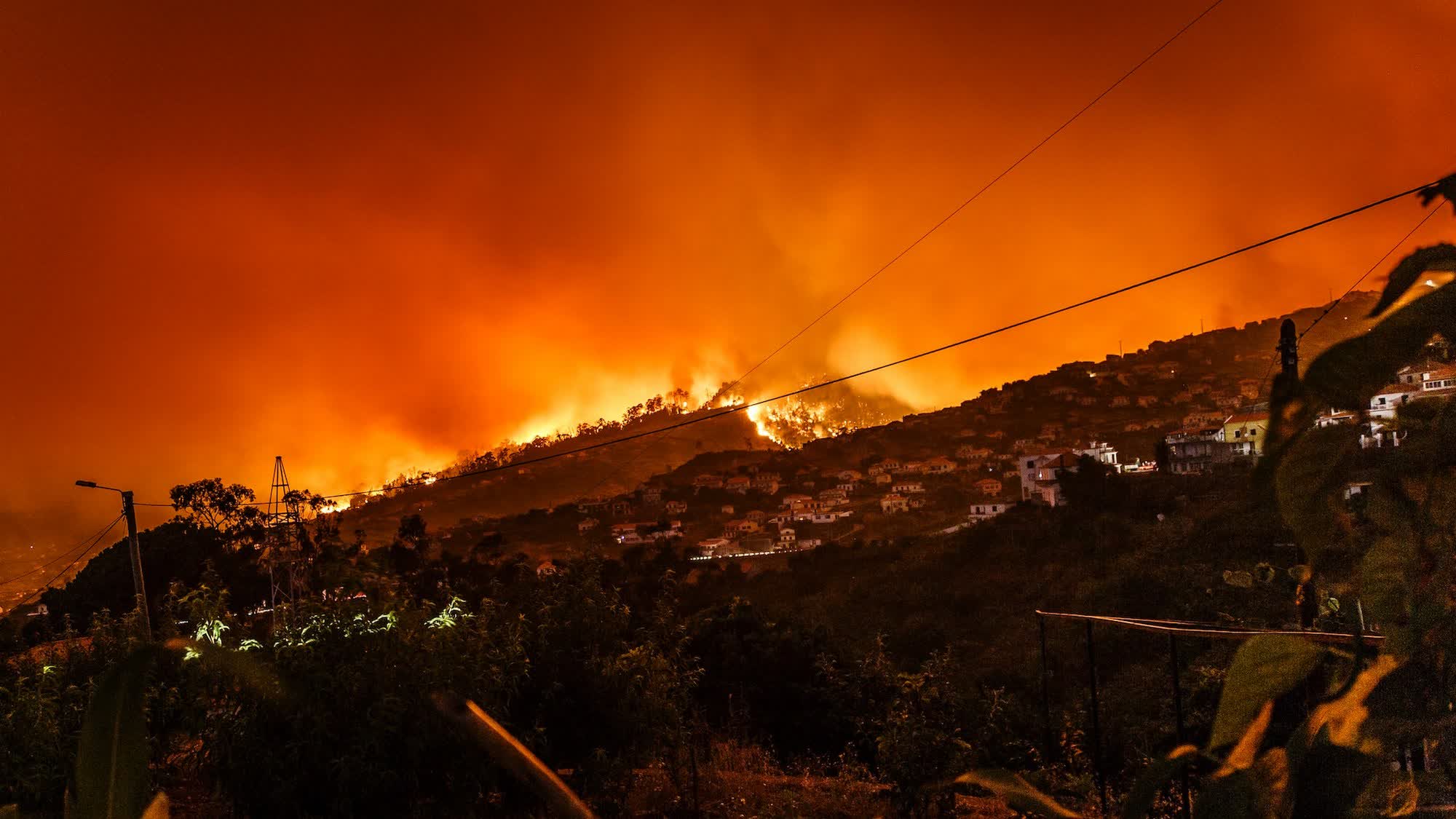 2024 was the hottest year on record, surpassing the critical 1.5°C threshold