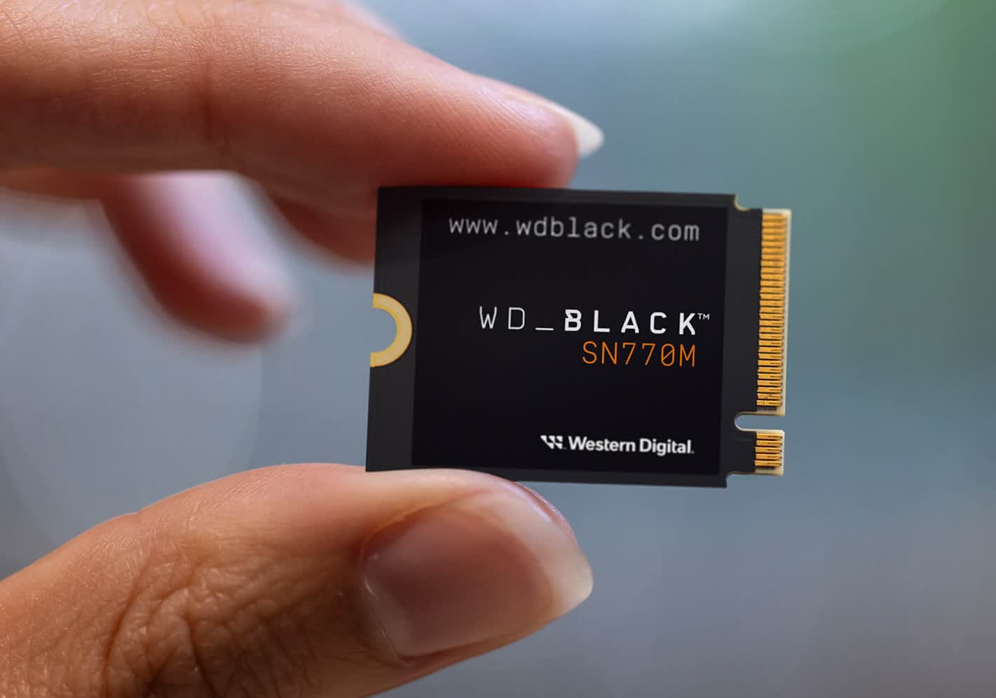 Western Digital launches SSDs for the Steam Deck and ROG Ally
