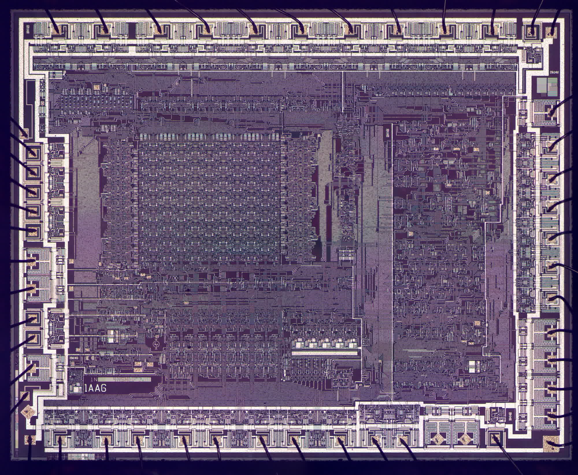 イヤーウィグ earwig パスト past Unusual silicon-on-sapphire chip unearthed in ancient HP