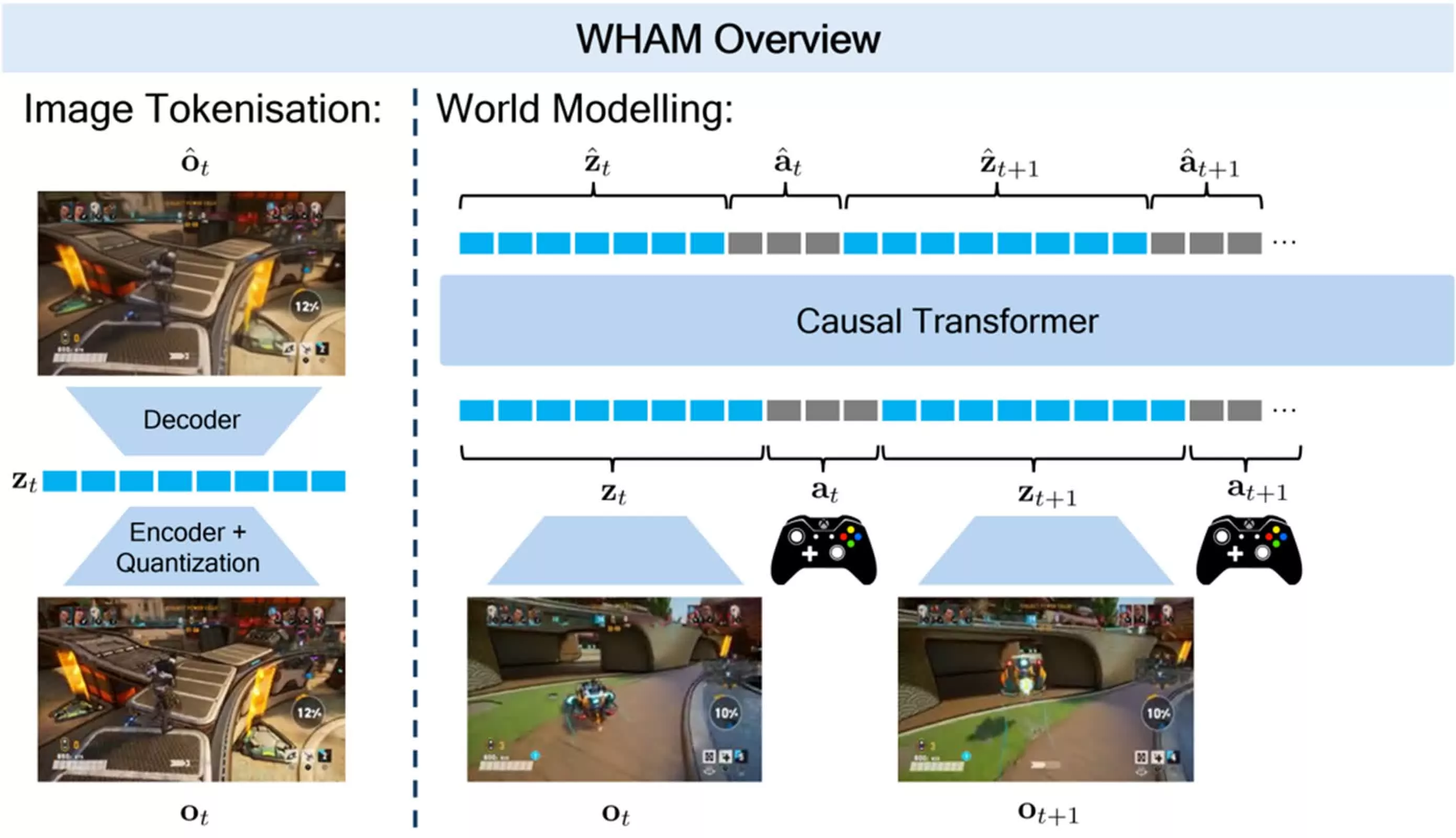 WHAMM AI Model Demo