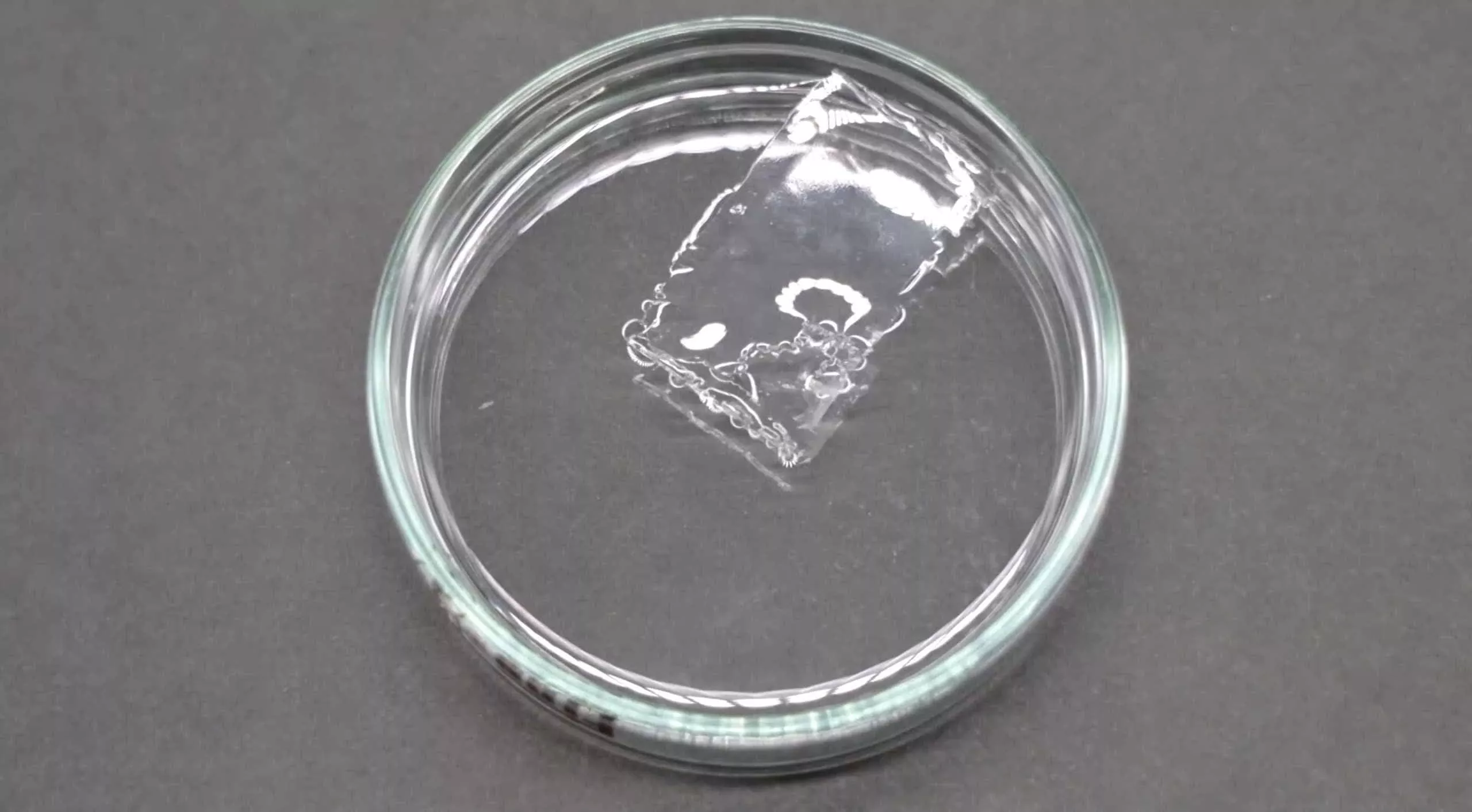 Clear plastic dissolving in salty water in a lab setting.