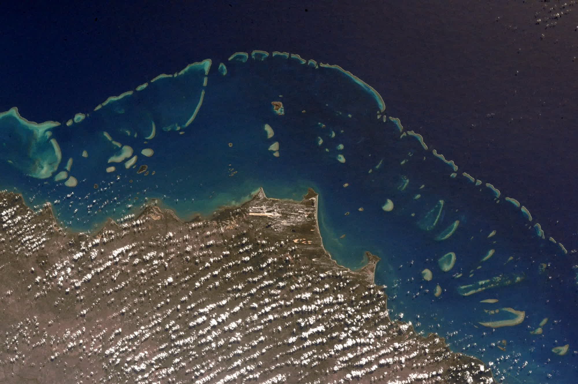 Australia's Great Barrier Reef suffers record coral loss after fifth mass bleaching event