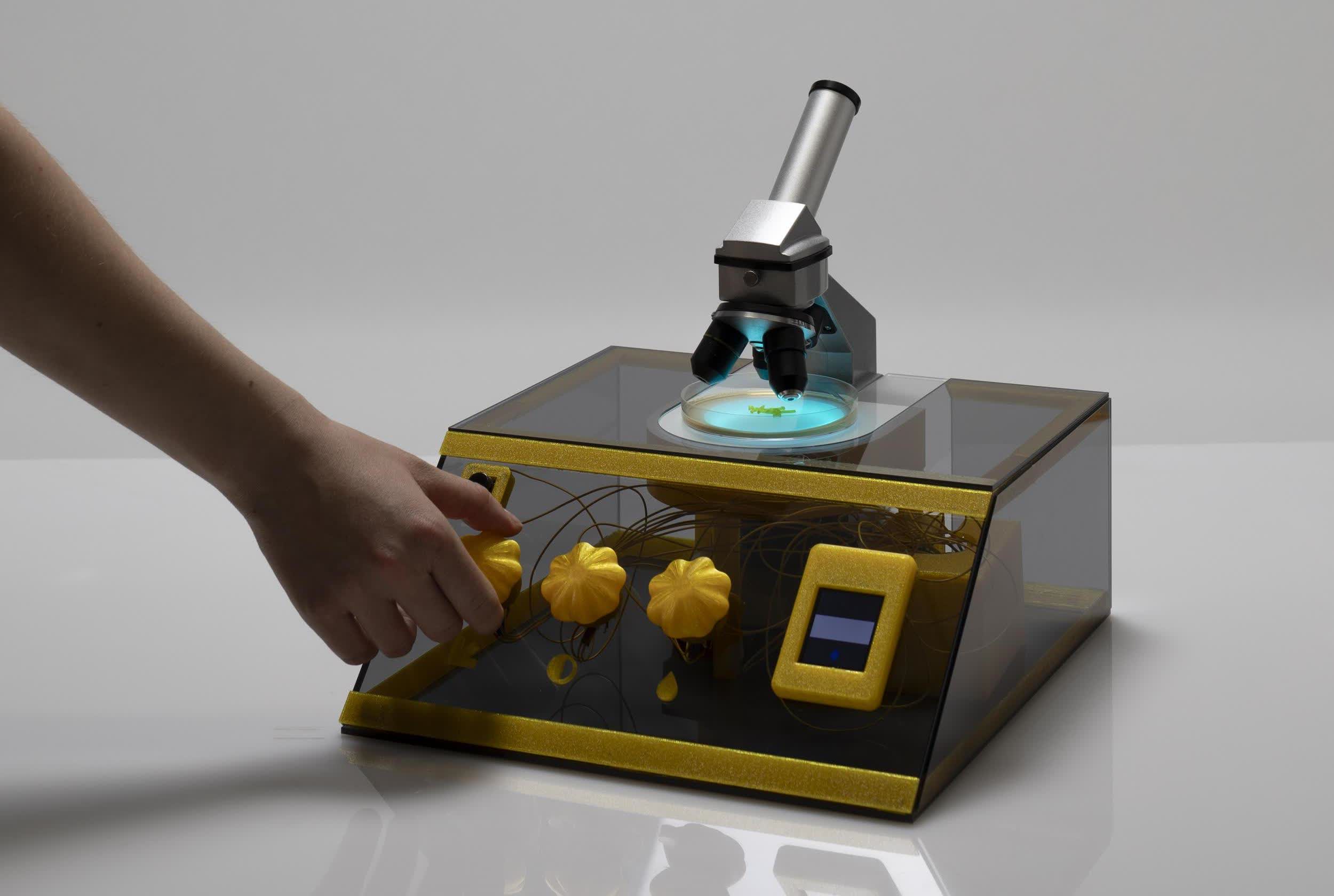 Artist uses slime mold to create quantum-resistant encryption keys