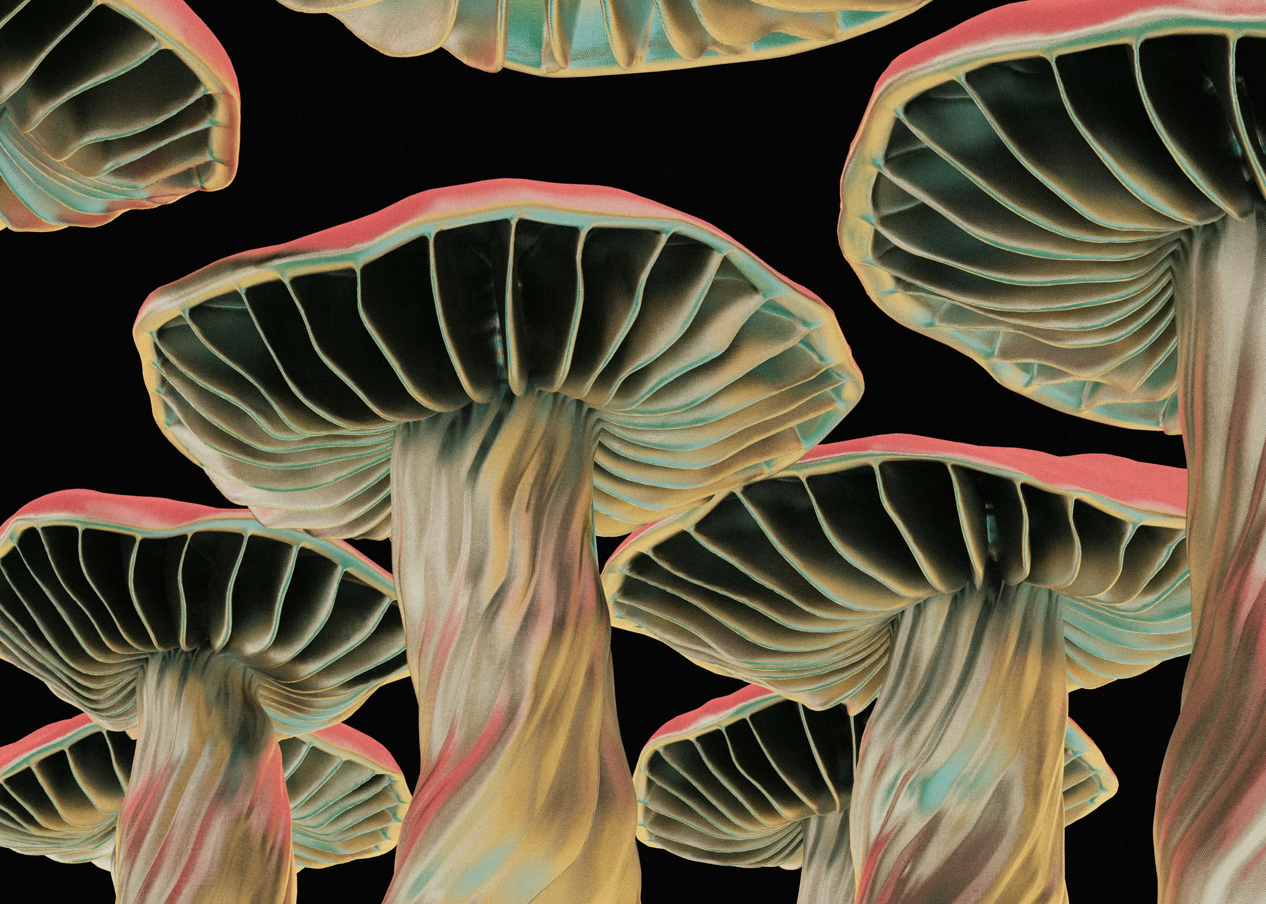 Researchers turn mushrooms into living memory chips for sustainable computing