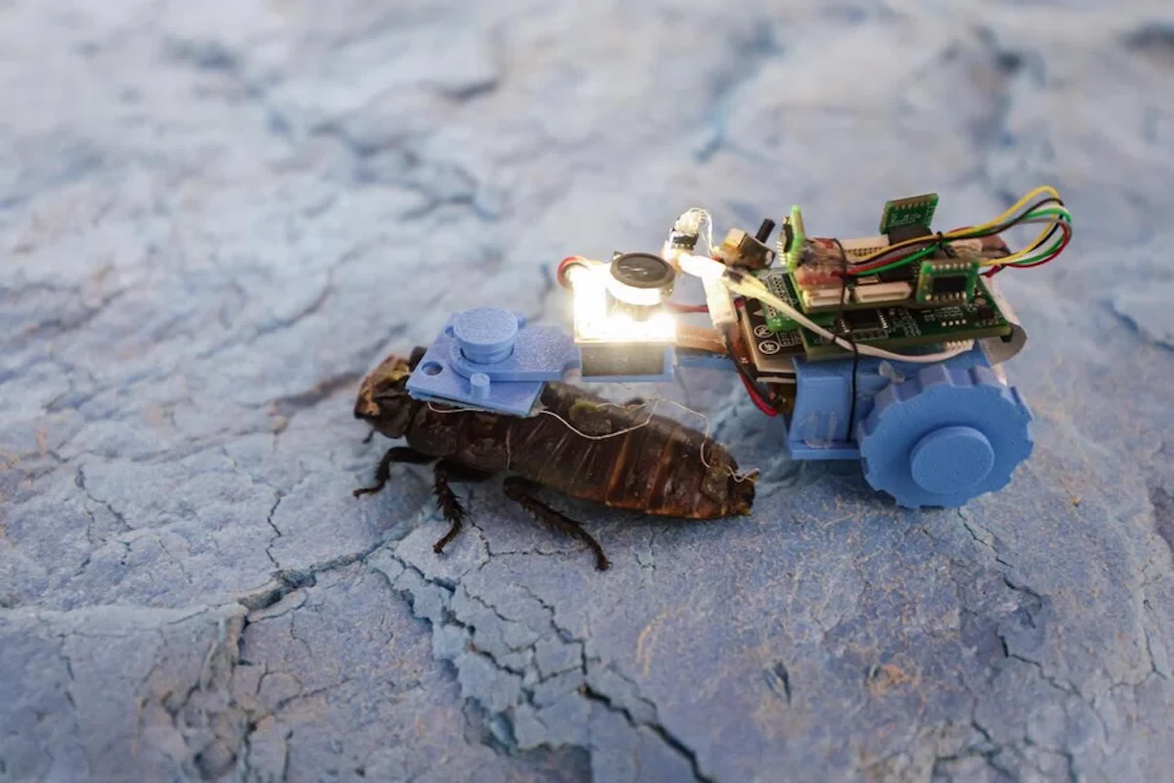 Scientists can now build a cyborg cockroach that can pull miniature rigs through pipelines to find leaks