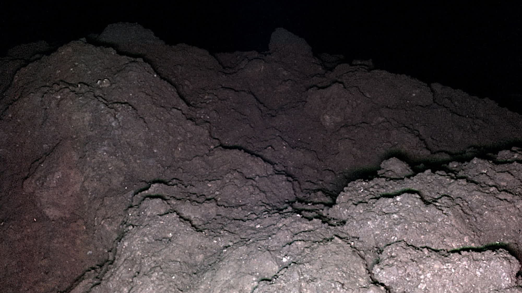 Scientists find all five genetic building blocks for life in asteroid Ryugu