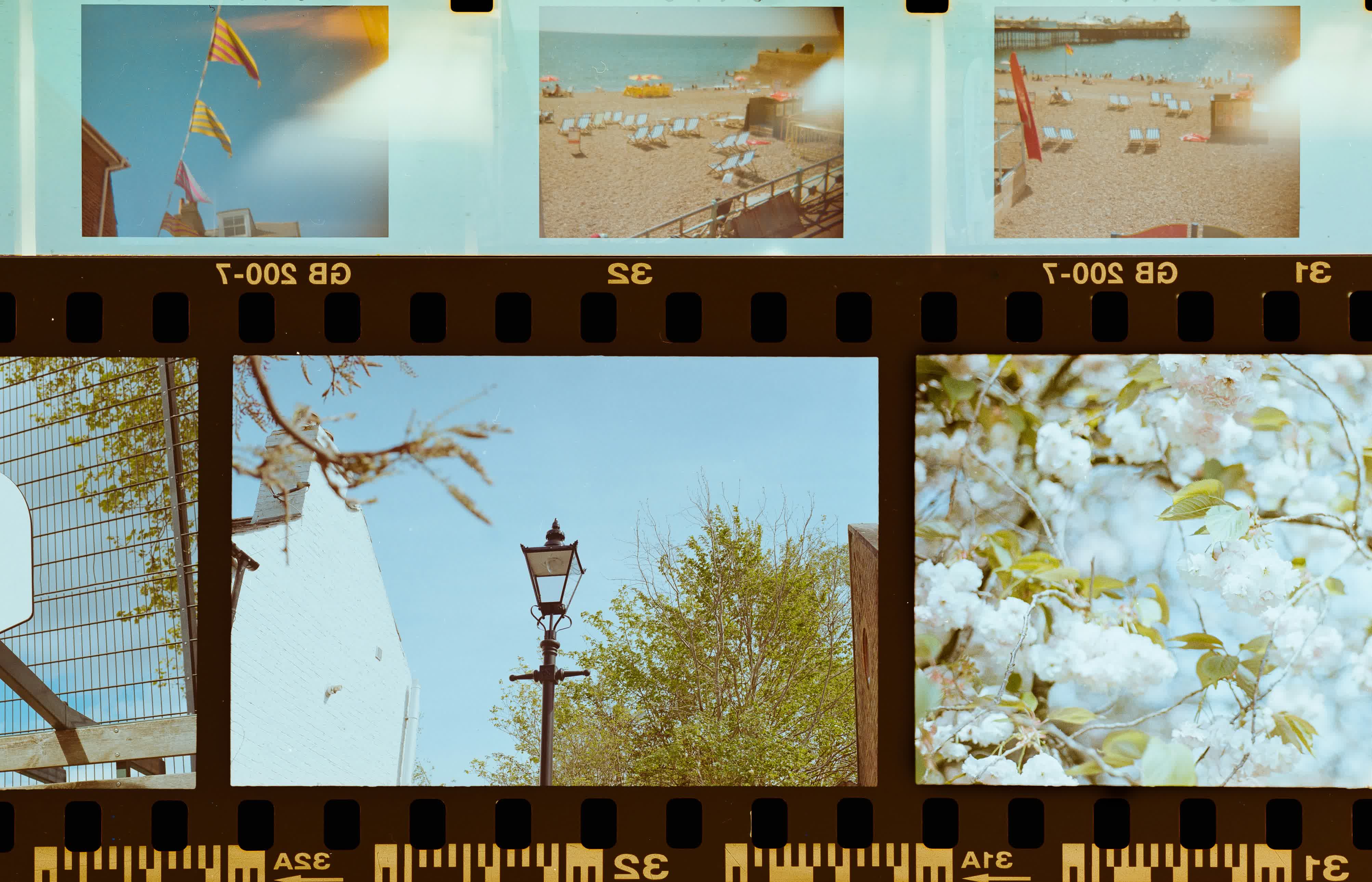 Why Gen Z is falling in love with film photography – and rejecting the algorithm along with it