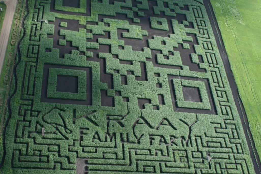 QR code is largest on record, Minecraftian feat spans 7 acres of corn