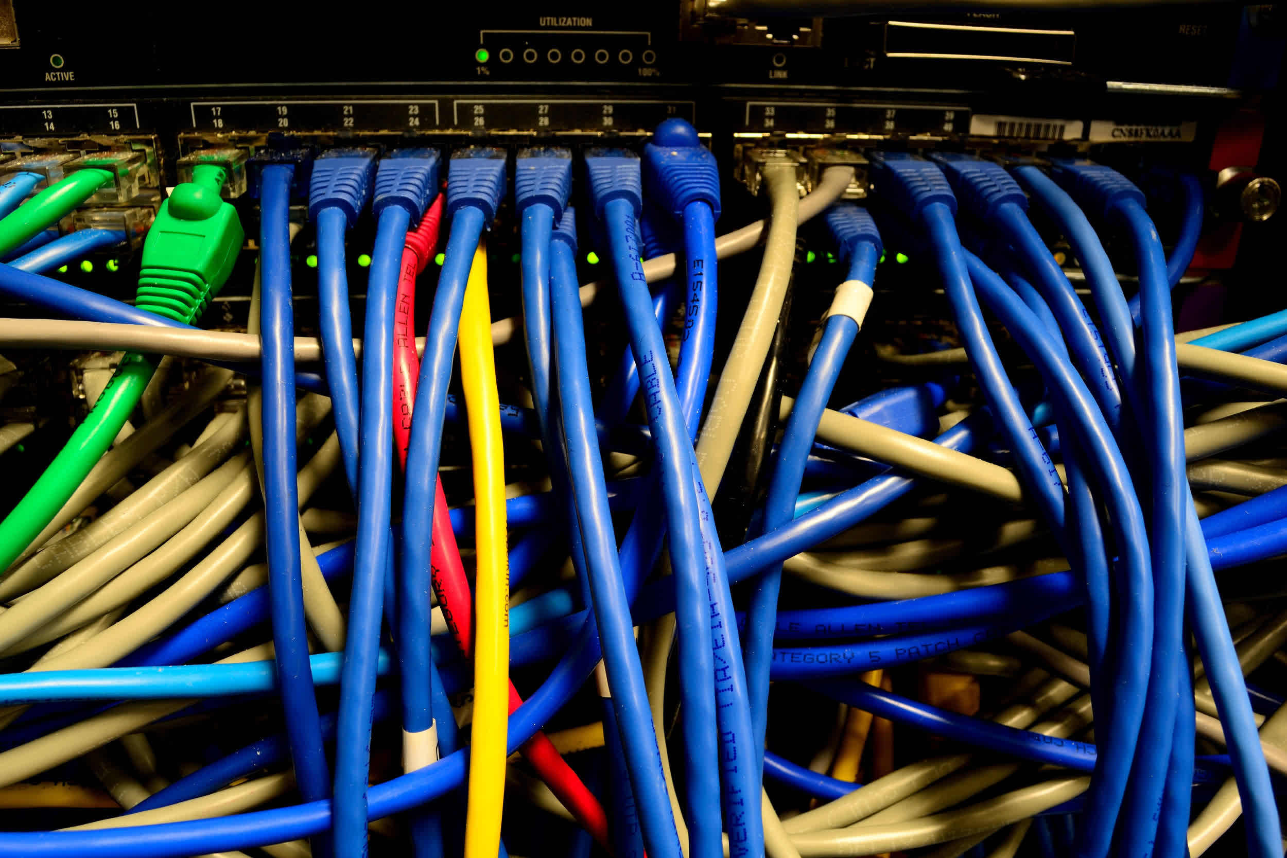 Google начала вырубку 300 гектаров леса в Финляндии до проведения экологической экспертизы Участок леса в Финляндии, подготовленный для строительства инфраструктуры