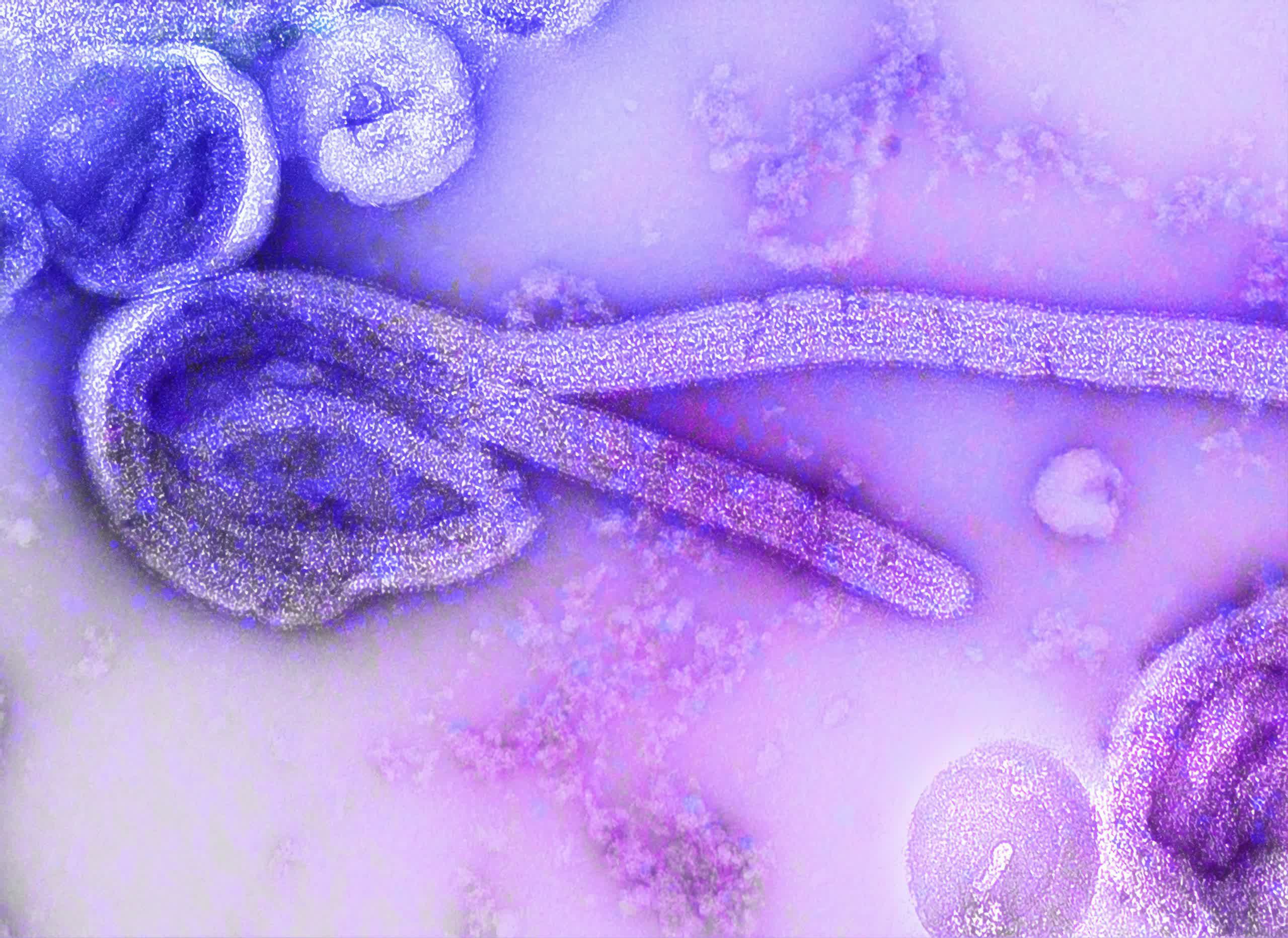 Genetically-engineered viruses may power devices of the future