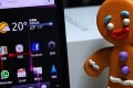 android gingerbread