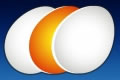 newegg