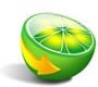 p2p limewire piracy