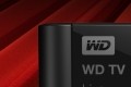 western digital