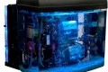 puget aquarium cooling